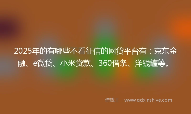 2025年的有哪些不看征信的网贷平台有：京东金融、e微贷、小米贷款、360借条、洋钱罐等。