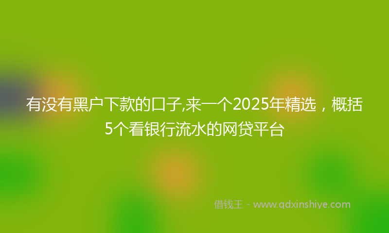 有没有黑户下款的口子,来一个2025年精选，概括5个看银行流水的网贷平台
