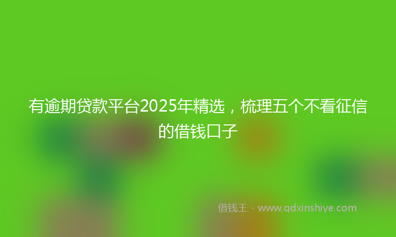 有逾期贷款平台2025年精选，梳理五个不看征信的借钱口子