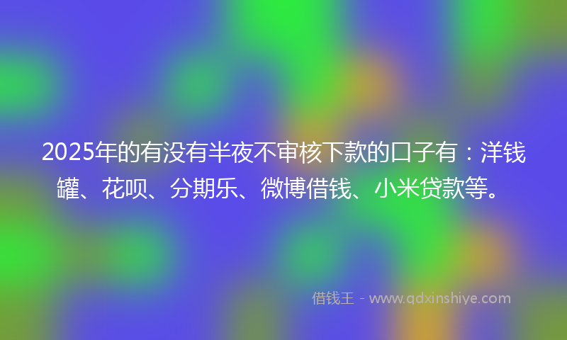 2025年的有没有半夜不审核下款的口子有：洋钱罐、花呗、分期乐、微博借钱、小米贷款等。