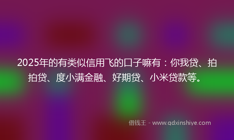 2025年的有类似信用飞的口子嘛有：你我贷、拍拍贷、度小满金融、好期贷、小米贷款等。