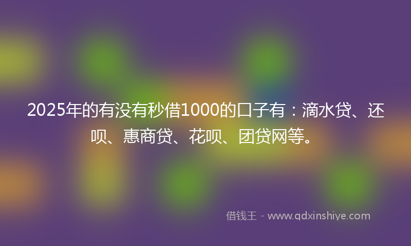 2025年的有没有秒借1000的口子有：滴水贷、还呗、惠商贷、花呗、团贷网等。
