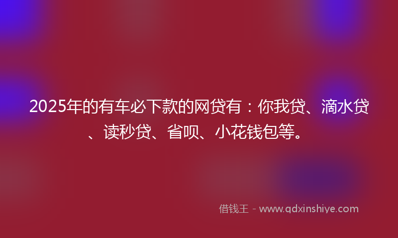 2025年的有车必下款的网贷有：你我贷、滴水贷、读秒贷、省呗、小花钱包等。
