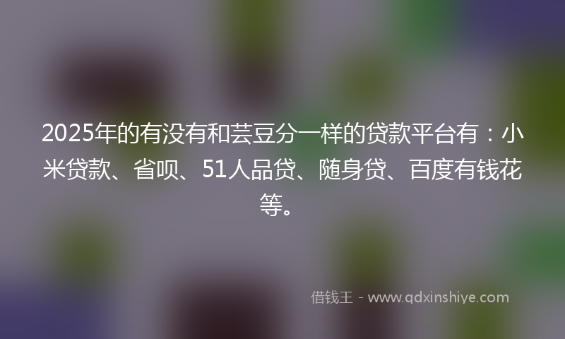 2025年的有没有和芸豆分一样的贷款平台有：小米贷款、省呗、51人品贷、随身贷、百度有钱花等。