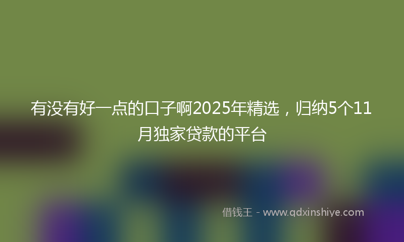 有没有好一点的口子啊2025年精选，归纳5个11月独家贷款的平台