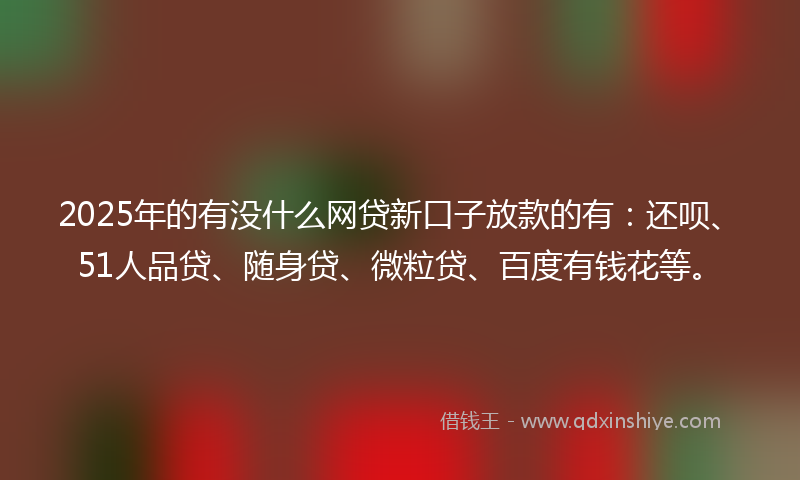 2025年的有没什么网贷新口子放款的有：还呗、51人品贷、随身贷、微粒贷、百度有钱花等。