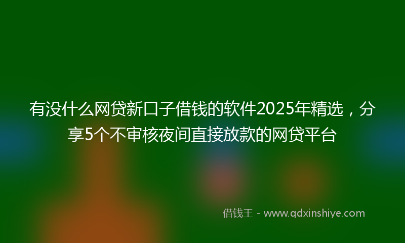 有没什么网贷新口子借钱的软件2025年精选，分享5个不审核夜间直接放款的网贷平台