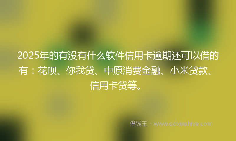 2025年的有没有什么软件信用卡逾期还可以借的有：花呗、你我贷、中原消费金融、小米贷款、信用卡贷等。