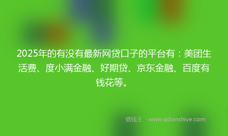 2025年的有没有最新网贷口子的平台有：美团生活费、度小满金融、好期贷、京东金融、百度有钱花等。