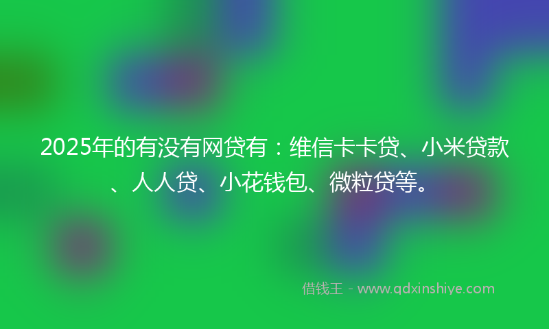 2025年的有没有网贷有：维信卡卡贷、小米贷款、人人贷、小花钱包、微粒贷等。