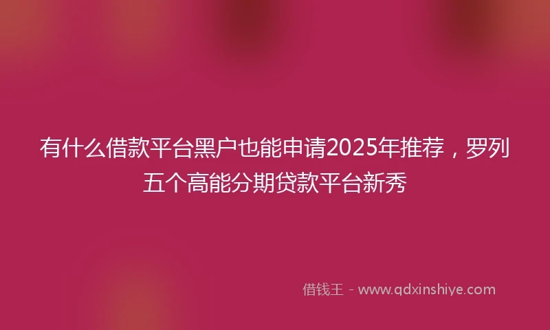 有什么借款平台黑户也能申请2025年推荐，罗列五个高能分期贷款平台新秀