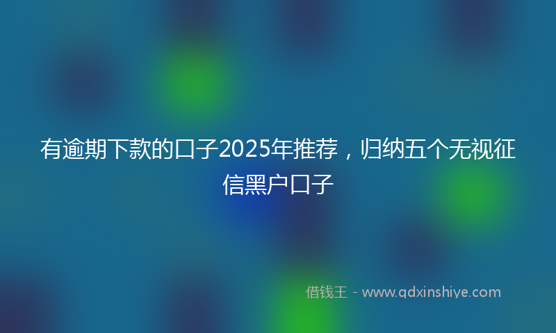 有逾期下款的口子2025年推荐，归纳五个无视征信黑户口子