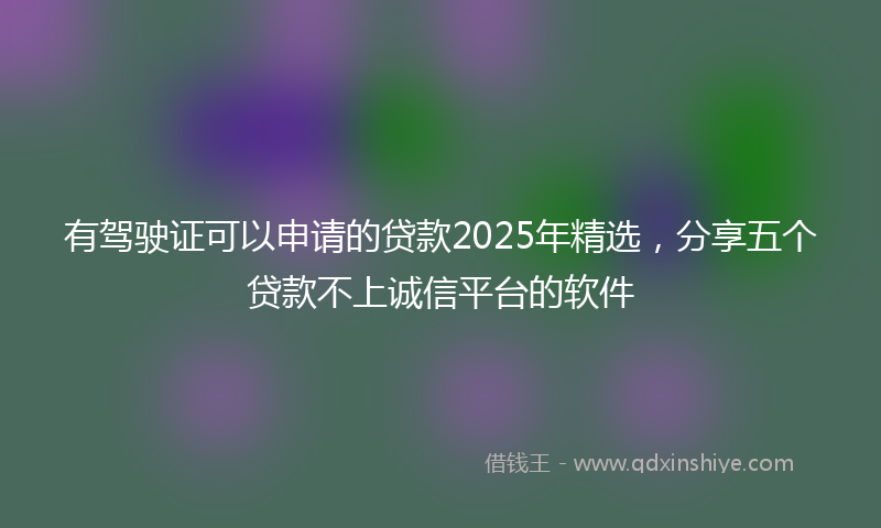 有驾驶证可以申请的贷款2025年精选，分享五个贷款不上诚信平台的软件
