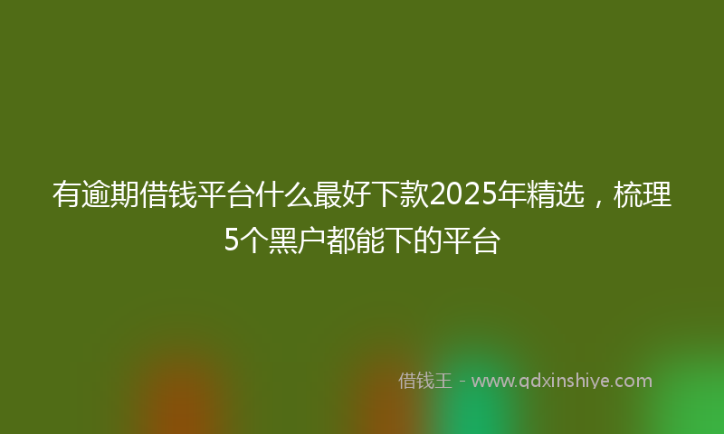 有逾期借钱平台什么最好下款2025年精选，梳理5个黑户都能下的平台