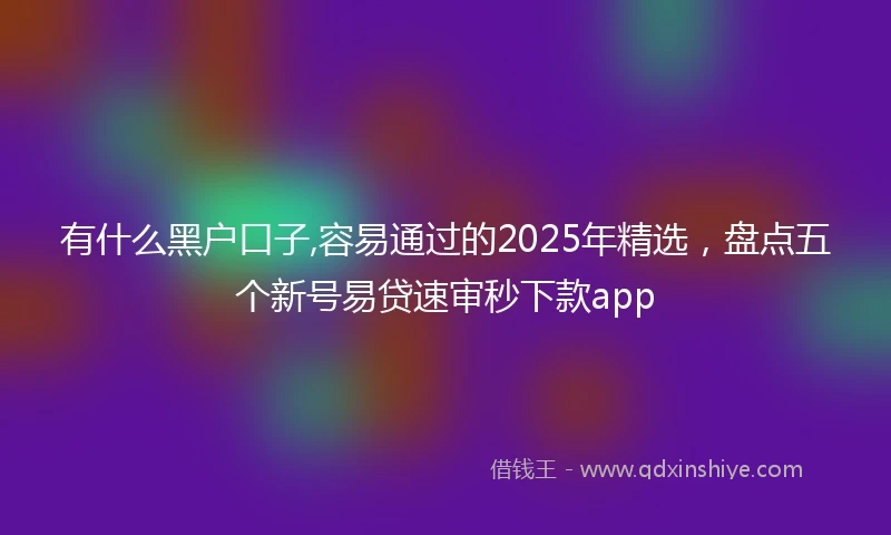 有什么黑户口子,容易通过的2025年精选，盘点五个新号易贷速审秒下款app