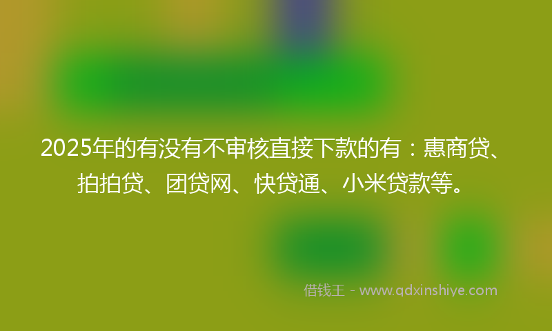 2025年的有没有不审核直接下款的有：惠商贷、拍拍贷、团贷网、快贷通、小米贷款等。