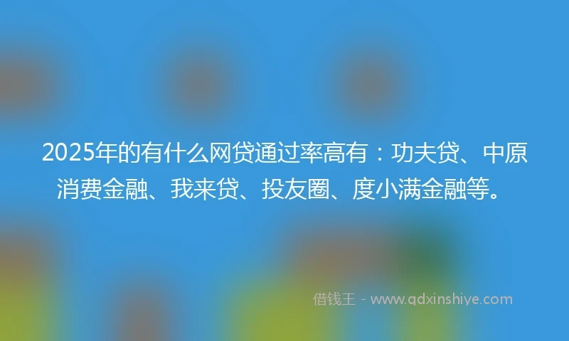 2025年的有什么网贷通过率高有：功夫贷、中原消费金融、我来贷、投友圈、度小满金融等。