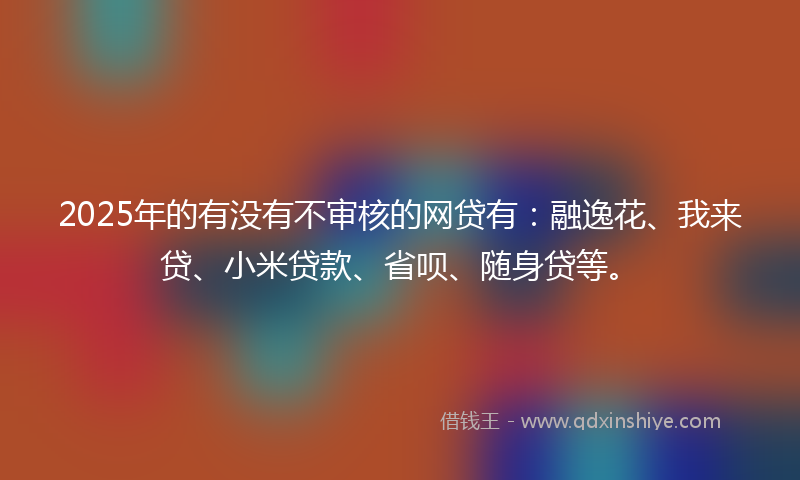 2025年的有没有不审核的网贷有：融逸花、我来贷、小米贷款、省呗、随身贷等。