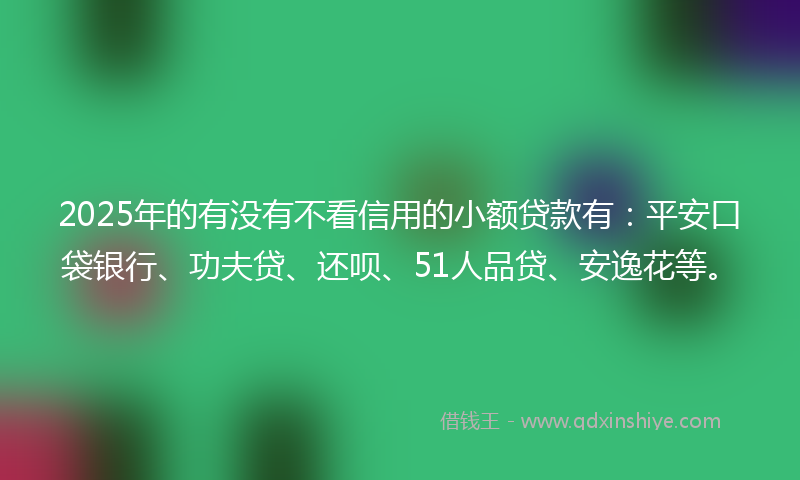 2025年的有没有不看信用的小额贷款有：平安口袋银行、功夫贷、还呗、51人品贷、安逸花等。