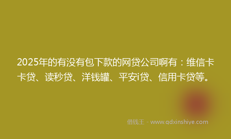 2025年的有没有包下款的网贷公司啊有：维信卡卡贷、读秒贷、洋钱罐、平安i贷、信用卡贷等。