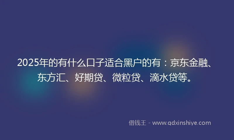 2025年的有什么口子适合黑户的有：京东金融、东方汇、好期贷、微粒贷、滴水贷等。