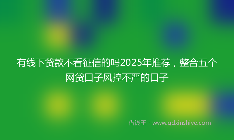 有线下贷款不看征信的吗2025年推荐，整合五个网贷口子风控不严的口子