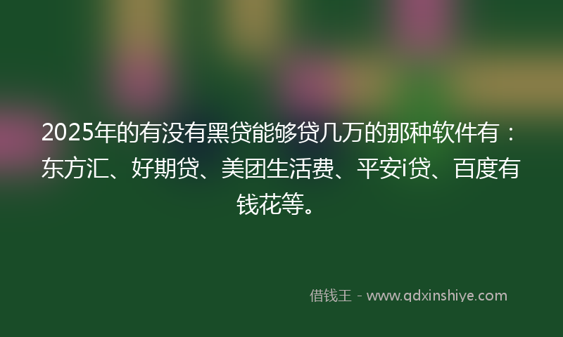 2025年的有没有黑贷能够贷几万的那种软件有：东方汇、好期贷、美团生活费、平安i贷、百度有钱花等。
