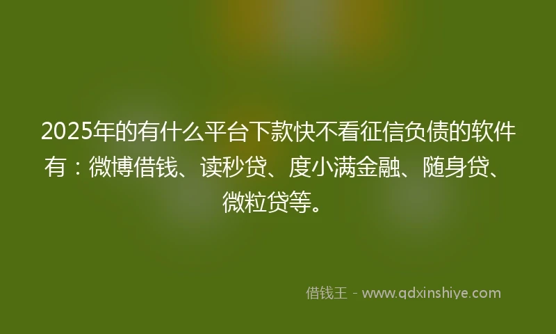 2025年的有什么平台下款快不看征信负债的软件有：微博借钱、读秒贷、度小满金融、随身贷、微粒贷等。