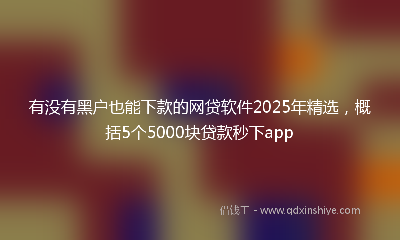 有没有黑户也能下款的网贷软件2025年精选，概括5个5000块贷款秒下app
