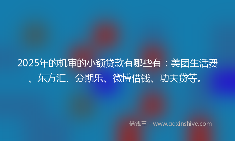 2025年的机审的小额贷款有哪些有：美团生活费、东方汇、分期乐、微博借钱、功夫贷等。