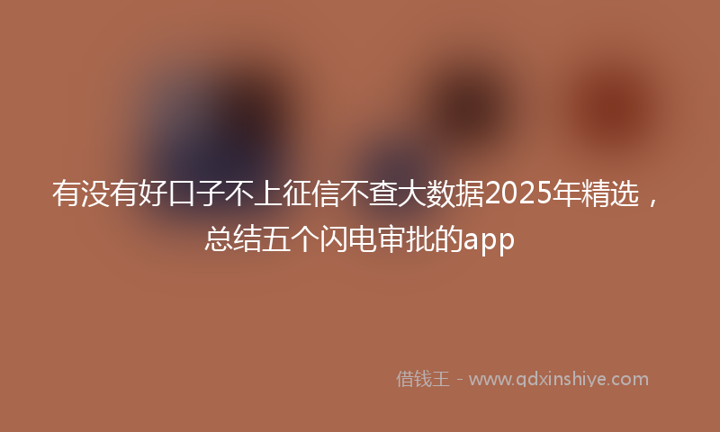 有没有好口子不上征信不查大数据2025年精选，总结五个闪电审批的app