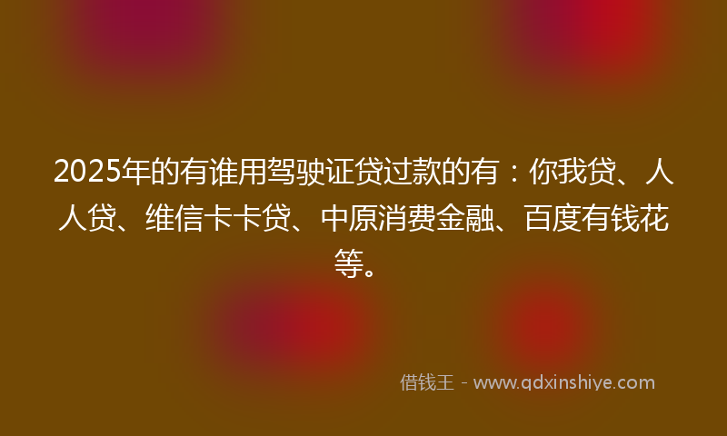 2025年的有谁用驾驶证贷过款的有：你我贷、人人贷、维信卡卡贷、中原消费金融、百度有钱花等。