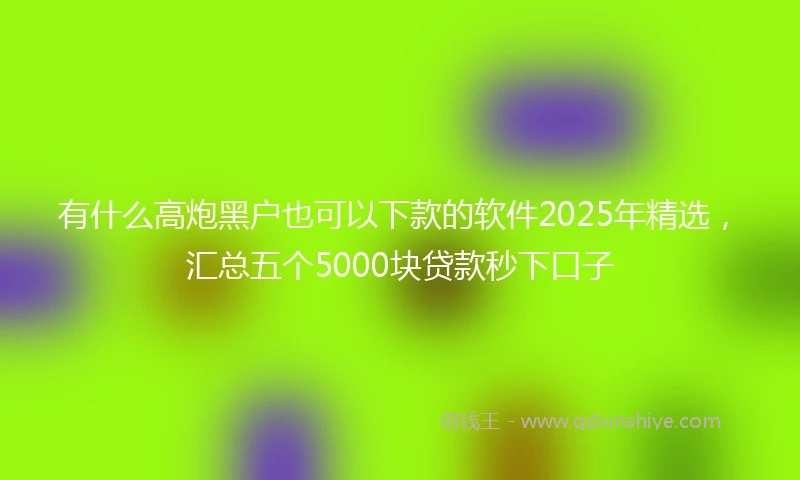 有什么高炮黑户也可以下款的软件2025年精选，汇总五个5000块贷款秒下口子