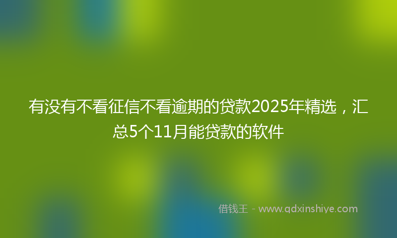 有没有不看征信不看逾期的贷款2025年精选，汇总5个11月能贷款的软件
