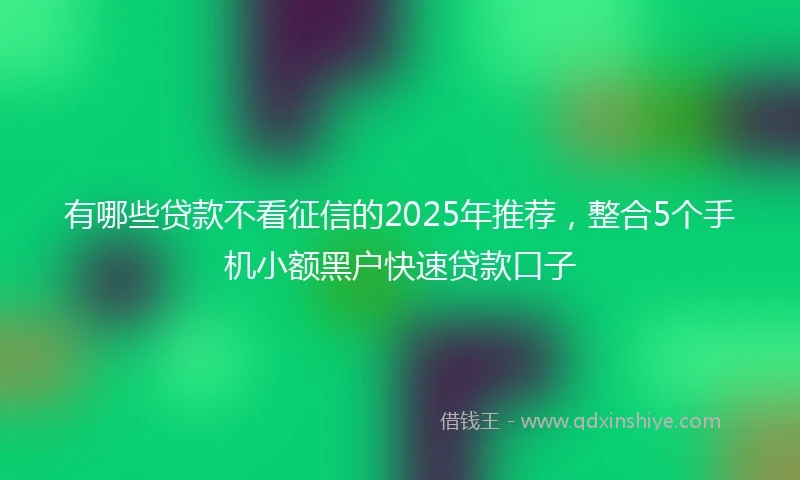 有哪些贷款不看征信的2025年推荐，整合5个手机小额黑户快速贷款口子