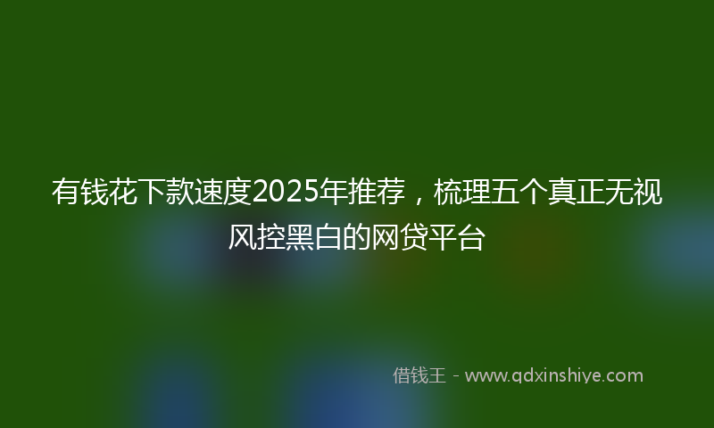 有钱花下款速度2025年推荐，梳理五个真正无视风控黑白的网贷平台