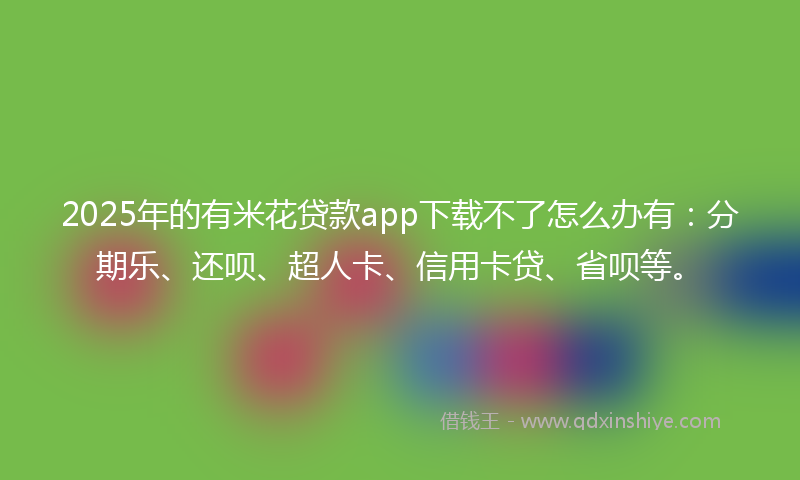 2025年的有米花贷款app下载不了怎么办有：分期乐、还呗、超人卡、信用卡贷、省呗等。