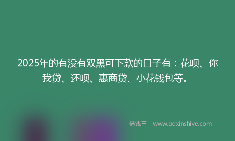 2025年的有没有双黑可下款的口子有：花呗、你我贷、还呗、惠商贷、小花钱包等。