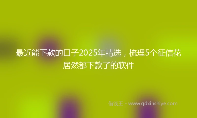 最近能下款的口子2025年精选,梳理5个征信花居然都下款了的软件
