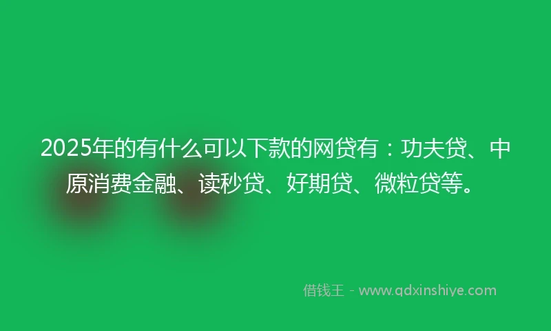 2025年的有什么可以下款的网贷有：功夫贷、中原消费金融、读秒贷、好期贷、微粒贷等。