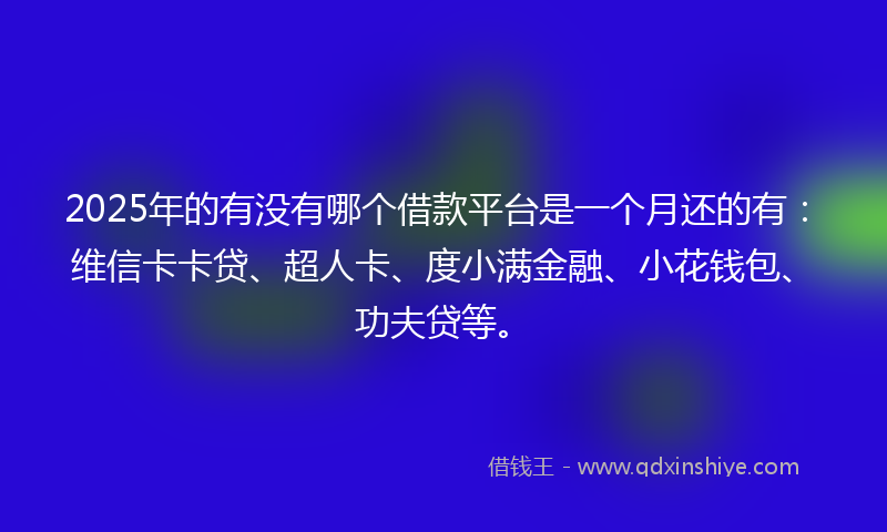 2025年的有没有哪个借款平台是一个月还的有：维信卡卡贷、超人卡、度小满金融、小花钱包、功夫贷等。