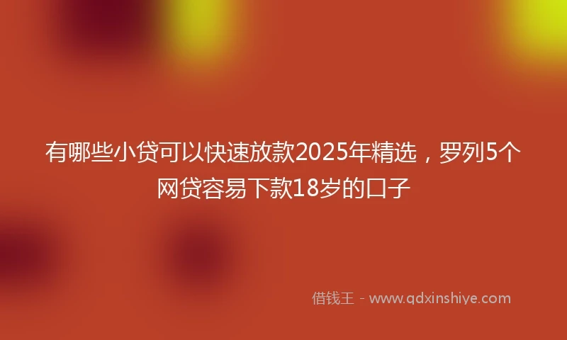 有哪些小贷可以快速放款2025年精选，罗列5个网贷容易下款18岁的口子
