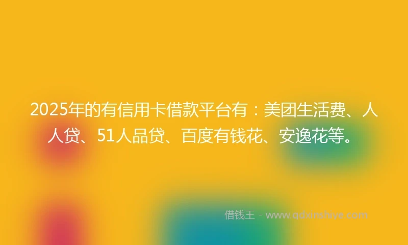 2025年的有信用卡借款平台有:美团生活费、人人贷、51人品贷、百度有钱花、安逸花等。