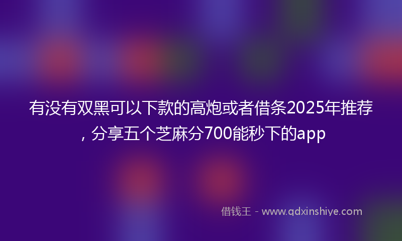 有没有双黑可以下款的高炮或者借条2025年推荐，分享五个芝麻分700能秒下的app