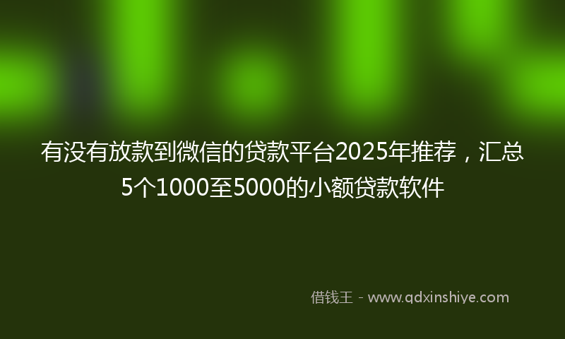 有没有放款到微信的贷款平台2025年推荐，汇总5个1000至5000的小额贷款软件