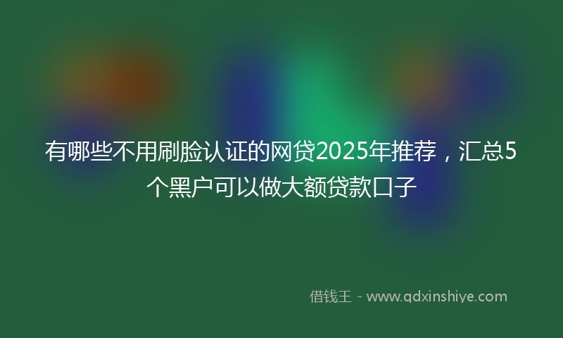 有哪些不用刷脸认证的网贷2025年推荐，汇总5个黑户可以做大额贷款口子