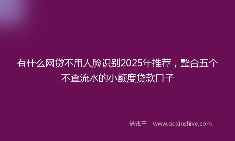 有什么网贷不用人脸识别2025年推荐，整合五个不查流水的小额度贷款口子