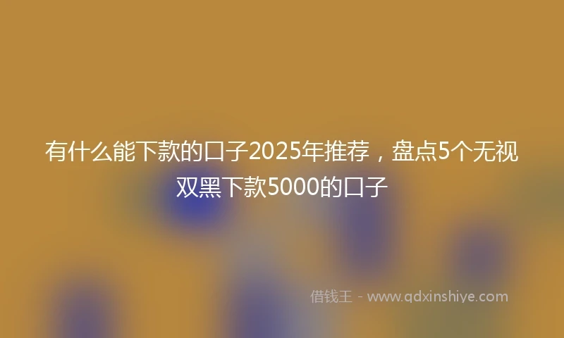 有什么能下款的口子2025年推荐，盘点5个无视双黑下款5000的口子