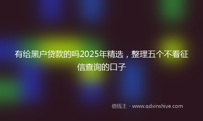 有给黑户贷款的吗2025年精选，整理五个不看征信查询的口子