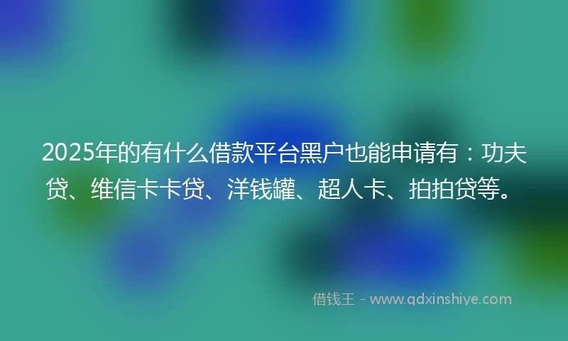2025年的有什么借款平台黑户也能申请有：功夫贷、维信卡卡贷、洋钱罐、超人卡、拍拍贷等。
